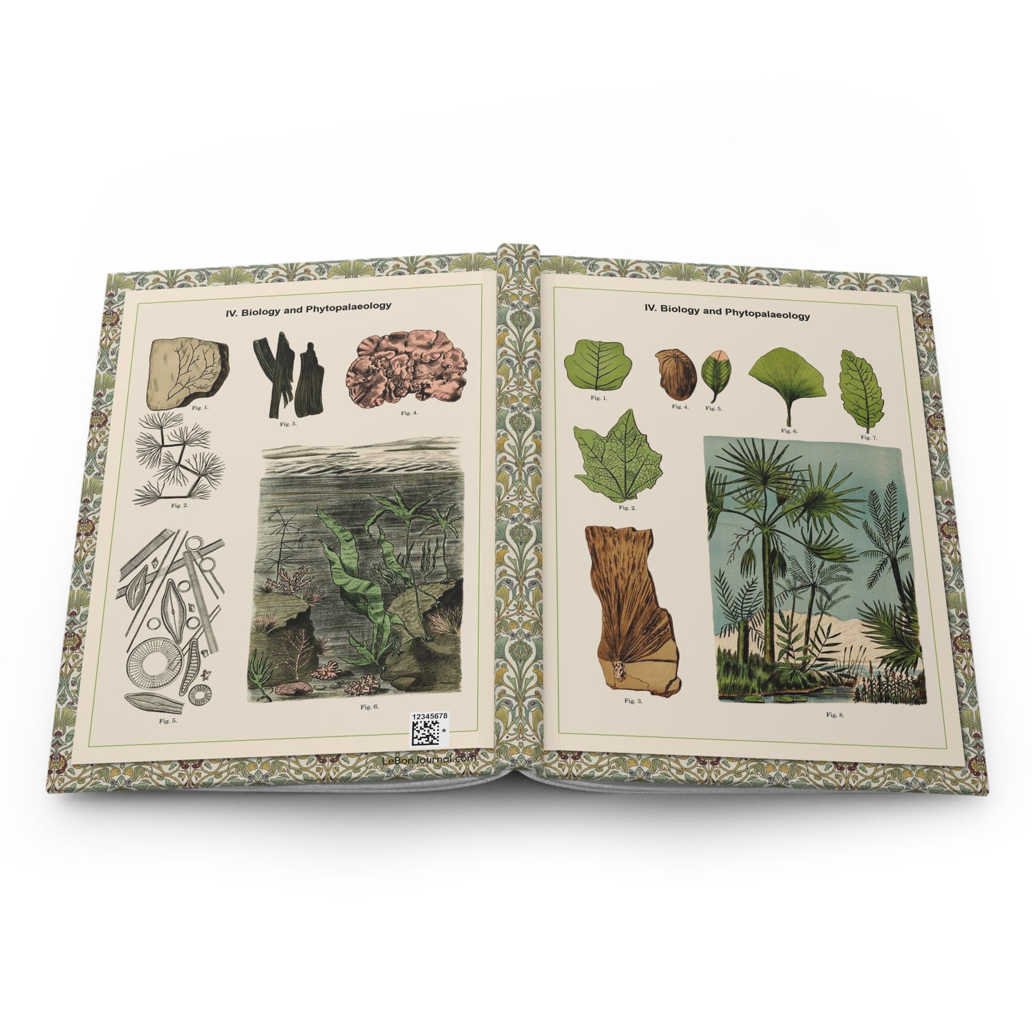 Open Phytopalaeology journal showing durable casewrap binding, hardcover construction with Alexander-Paul Henckel 1905 marsh and aquatic plant fossil illustrations on front and back covers, and flexible spine for lay-flat writing - LeBonJournal