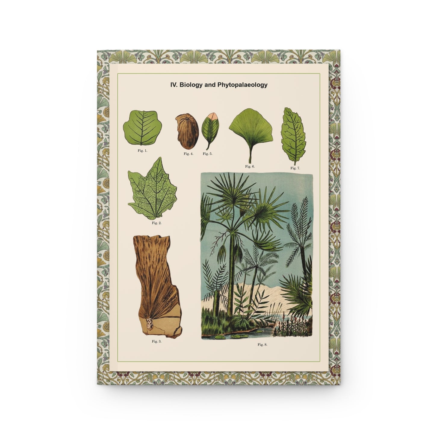 Front cover of Phytopalaeology journal featuring Alexander-Paul Henckel 1905 marsh plant fossil illustrations with ancient palm, cycad, and Ginkgo biloba specimens on premium matte hardcover - LeBonJournal