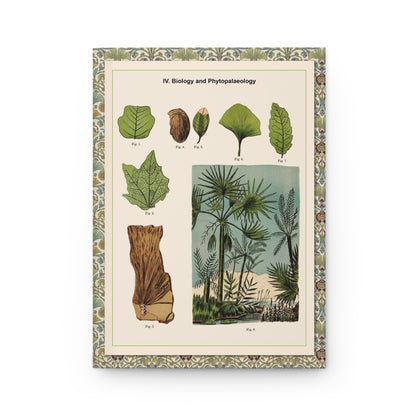 Front cover of Phytopalaeology journal featuring Alexander-Paul Henckel 1905 marsh plant fossil illustrations with ancient palm, cycad, and Ginkgo biloba specimens on premium matte hardcover - LeBonJournal