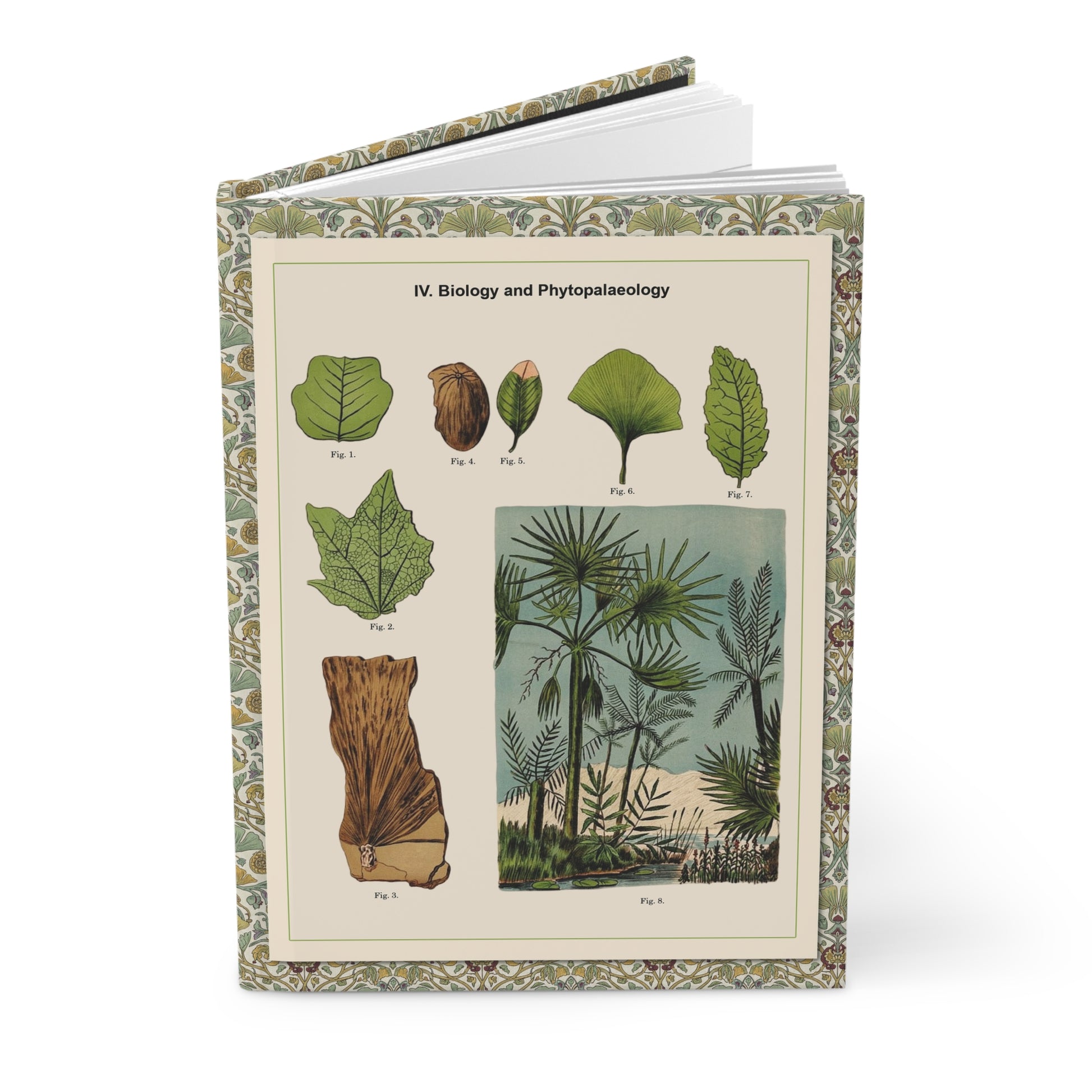 Hardcover paleobotany journal standing upright showing front cover with Alexander-Paul Henckel 1905 marsh plant fossils featuring Ginkgo biloba leaf and Middle Tertiary period landscape on matte finish cover - LeBonJournal