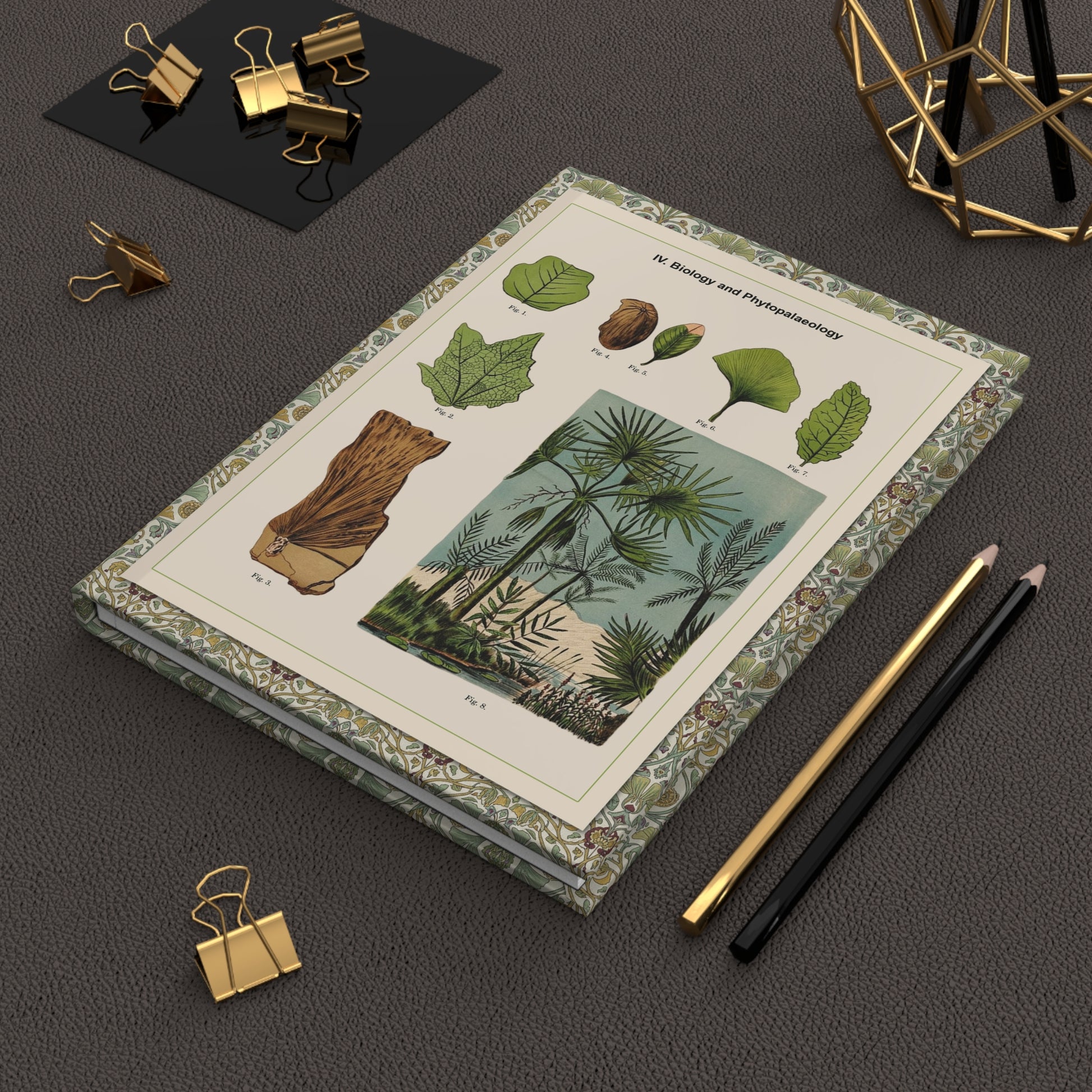 Phytopalaeology hardcover journal in lifestyle setting, premium matte finish journal featuring vintage paleobotany art, elegant stationery for geologists, botanists, and natural history enthusiasts - LeBonJournal