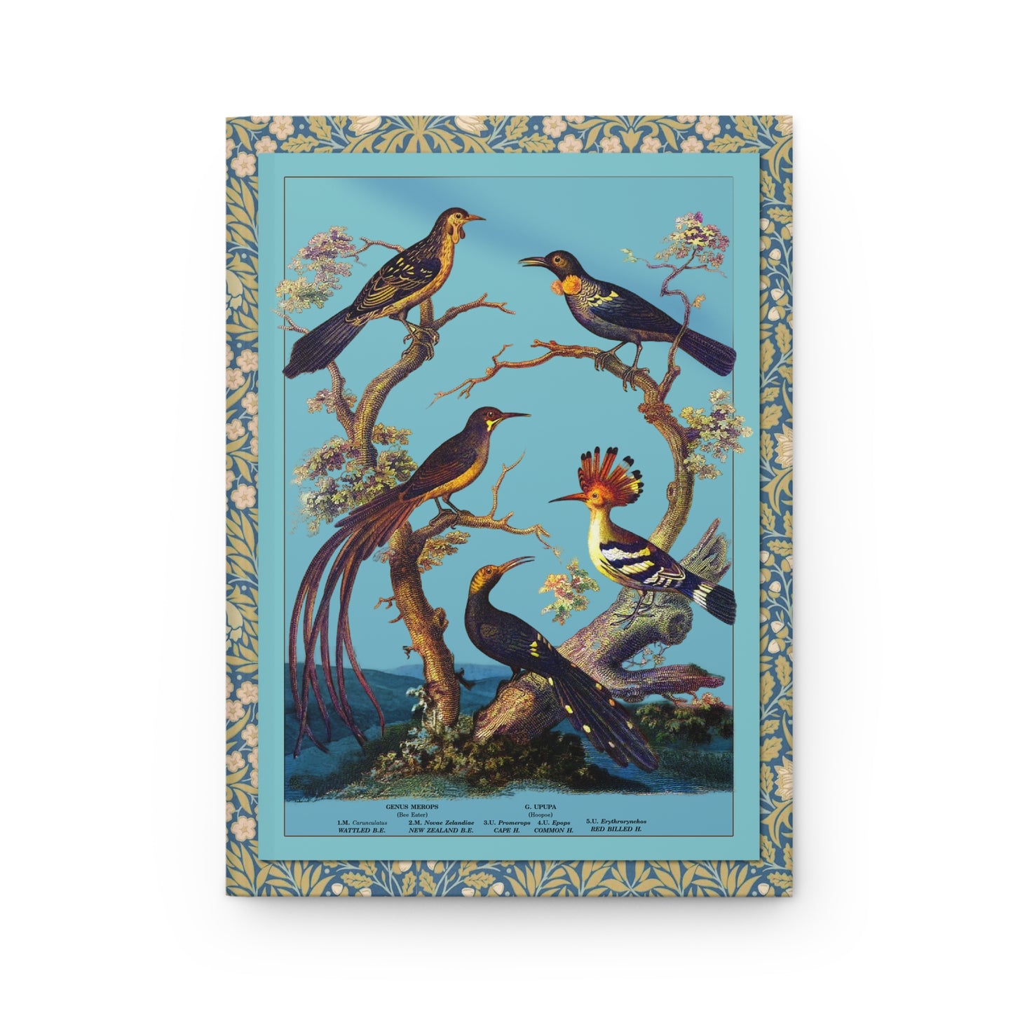 Picae Passeres birds front cover Hoopoe Bee-eater Sugarbird Wattlebird Tui turquoise - LeBonJournal

