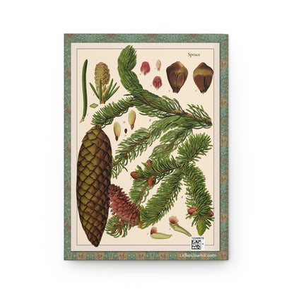 Back cover of Pine and Spruce journal featuring Otto Wilhelm Thomé 1885 Picea abies Norway Spruce illustration with detailed cones, needles, seeds from Flora of Germany Austria Switzerland - LeBonJournal