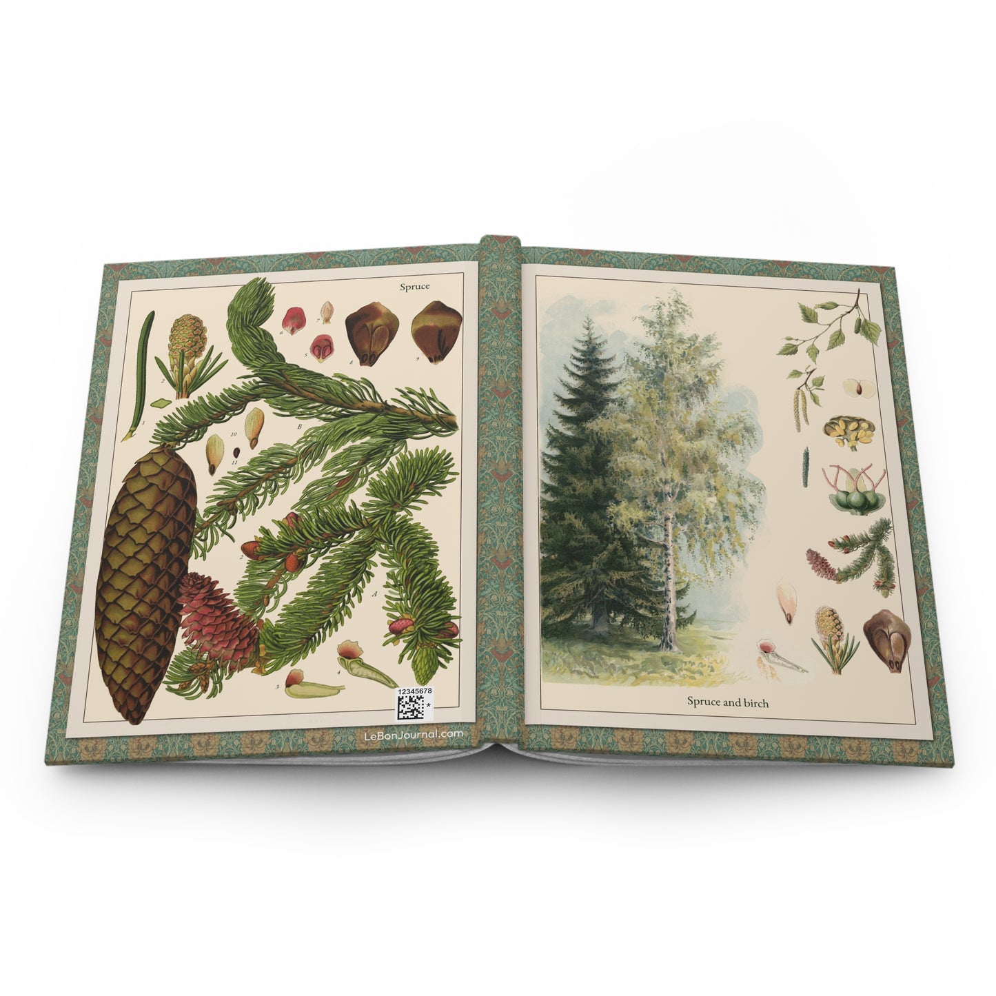 Open Pine and Spruce journal showing durable casewrap binding, hardcover construction with T-va I.D. Sytina 1910 and Otto Wilhelm Thomé 1885 botanical illustrations on front and back covers, and flexible spine for lay-flat writing - LeBonJournal