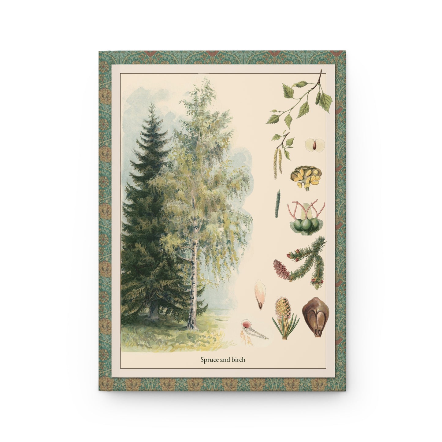 Front cover of Pine and Spruce journal featuring T-va I.D. Sytina 1910 Russian school poster with Picea abies Norway Spruce and Betula pendula Silver Birch botanical diagrams on premium matte hardcover - LeBonJournal