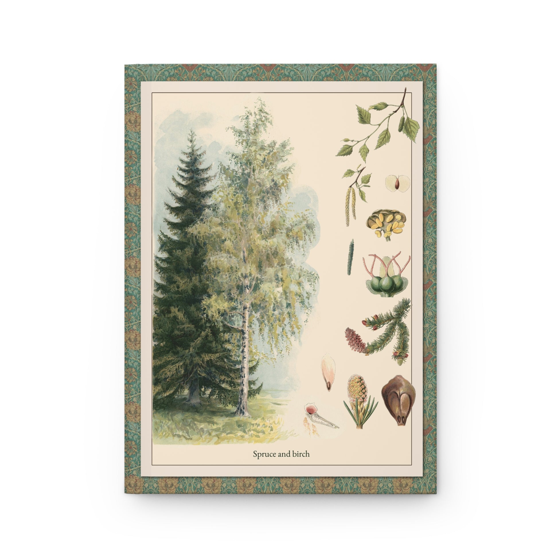 Front cover of Pine and Spruce journal featuring T-va I.D. Sytina 1910 Russian school poster with Picea abies Norway Spruce and Betula pendula Silver Birch botanical diagrams on premium matte hardcover - LeBonJournal
