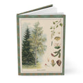 Hardcover pine and spruce journal standing upright showing front cover with T-va I.D. Sytina 1910 Russian educational botanical poster featuring Norway Spruce and Silver Birch on matte finish cover - LeBonJournal