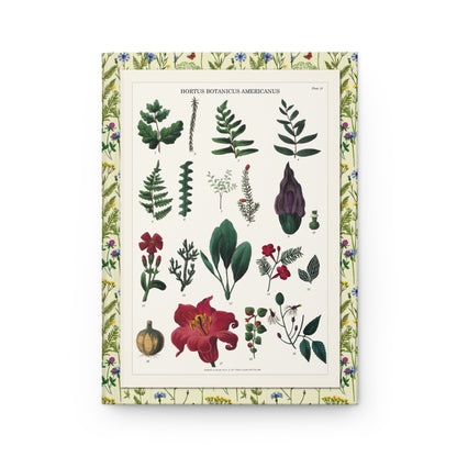 Plate 15 front cover with nineteen species including jack-in-the-pulpit, cypress vine and hibiscus, Titford 1811 hand-colored botanical - LeBonJournal