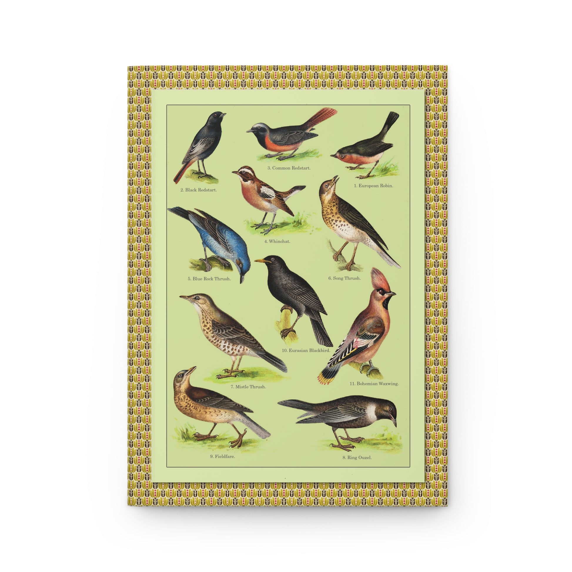 Plate 1 Goldfinch Linnet Siskin front cover Kurt Lampert 1905 English bird names - LeBonJournal
