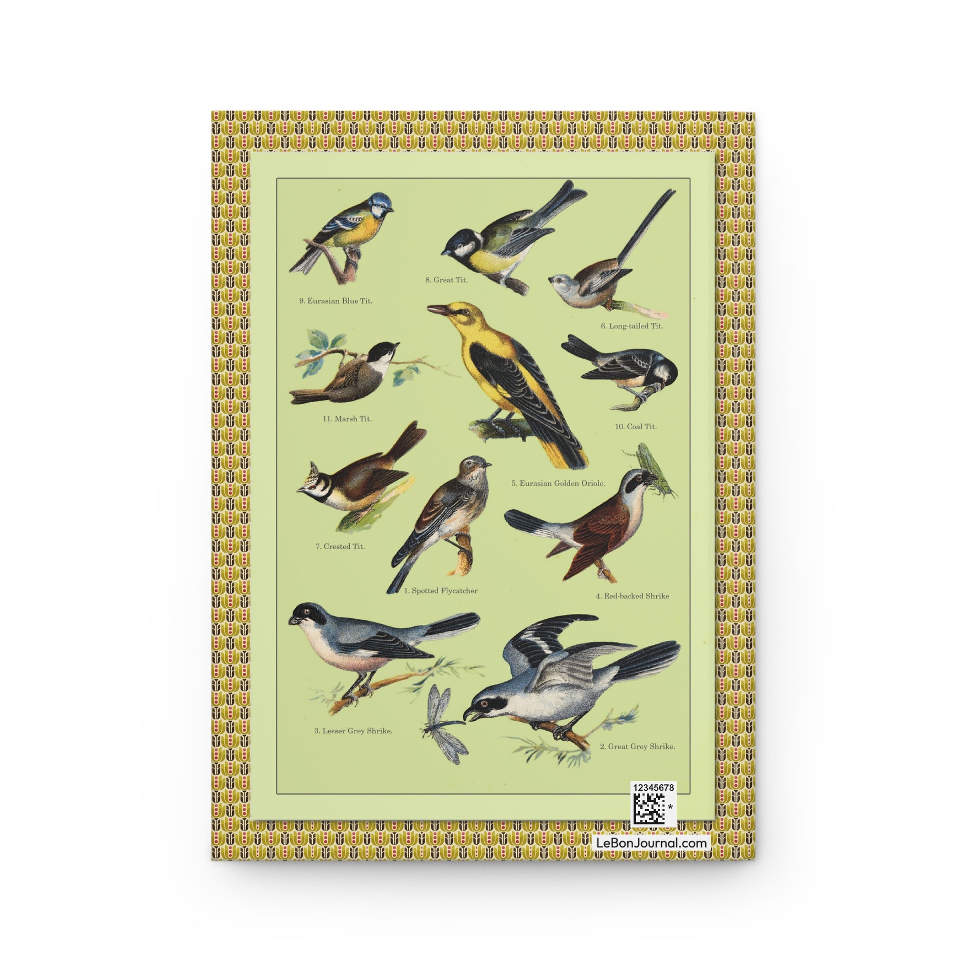 Plate 2 Bullfinch Crossbill Grosbeak back cover Kurt Lampert 1905 English bird names - LeBonJournal
