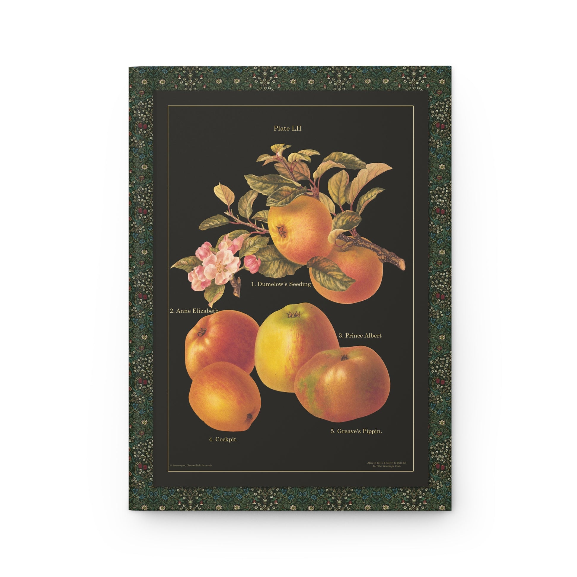 Plate 52 apple varieties Alice Ellis front cover Dumelow Prince Albert Greave Pippin - LeBonJournal
