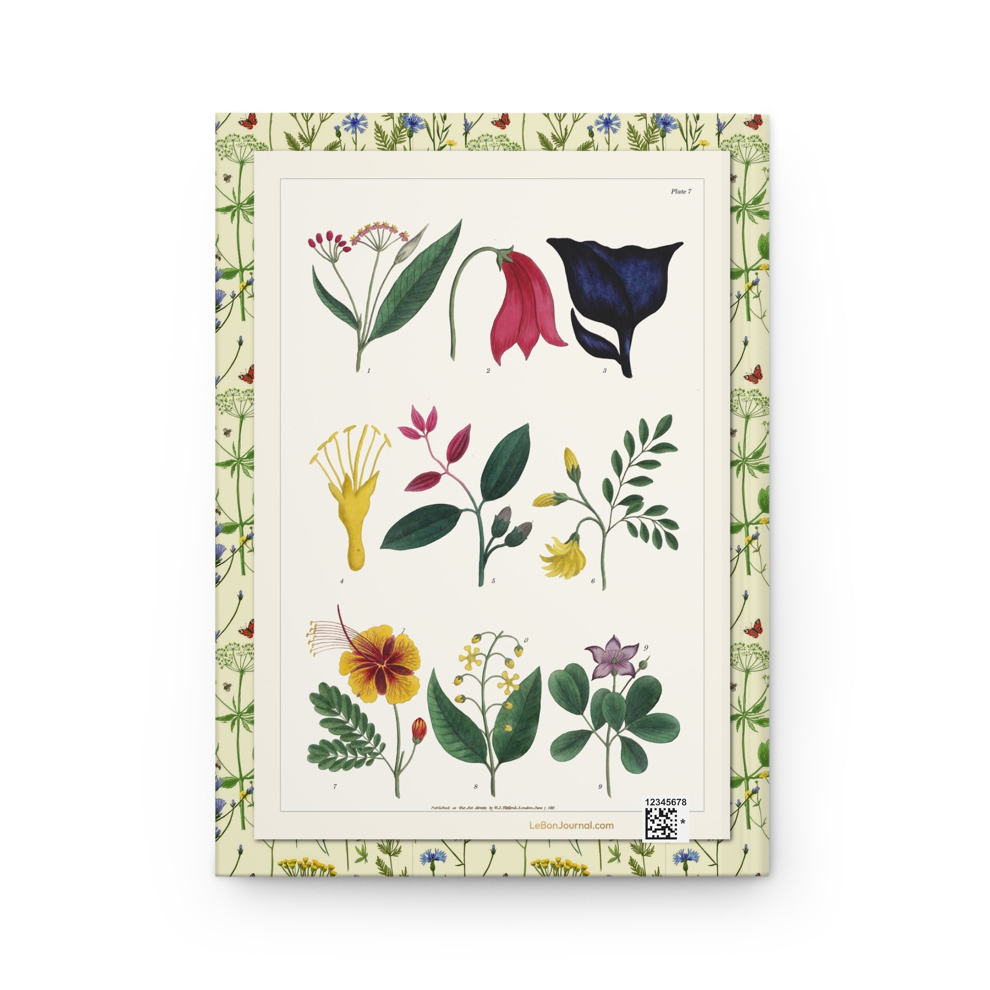 Plate 7 back cover with cinnamon, moringa, scarlet amaryllis and tropical milkweed, Titford 1811 Hortus Botanicus Americanus - LeBonJournal