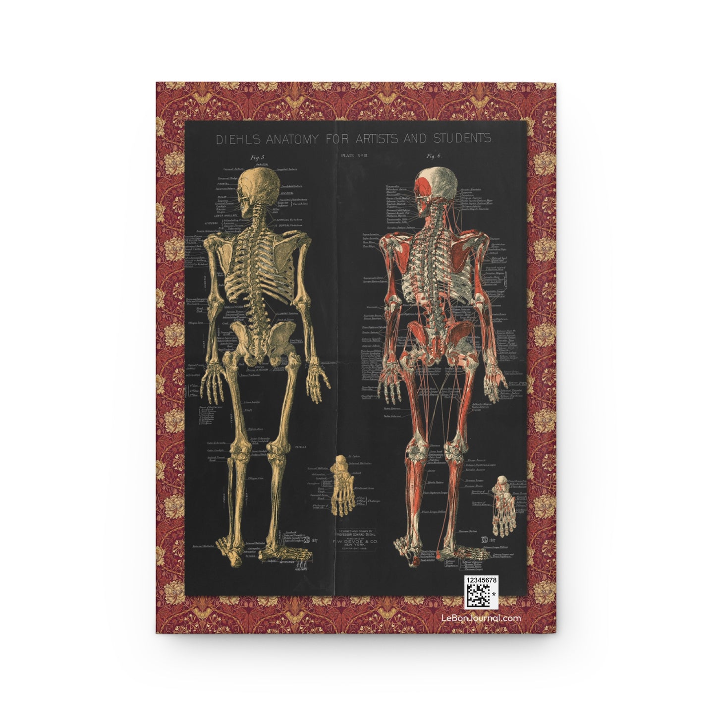 Plate III posterior skeleton views back cover from Conrad Diehl 1888 showing Fig 5 and Fig 6 skeletal anatomy on black background - LeBonJournal