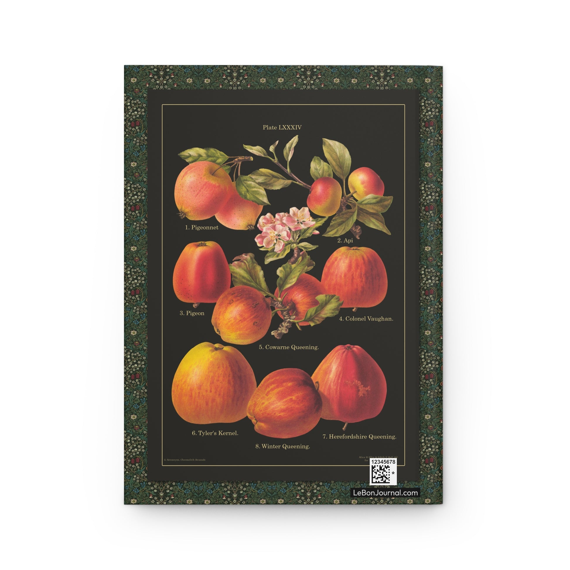 Plate LXXIV historic apples blossom back cover Api Lady Apple Winter Queening 1200 AD - LeBonJournal
