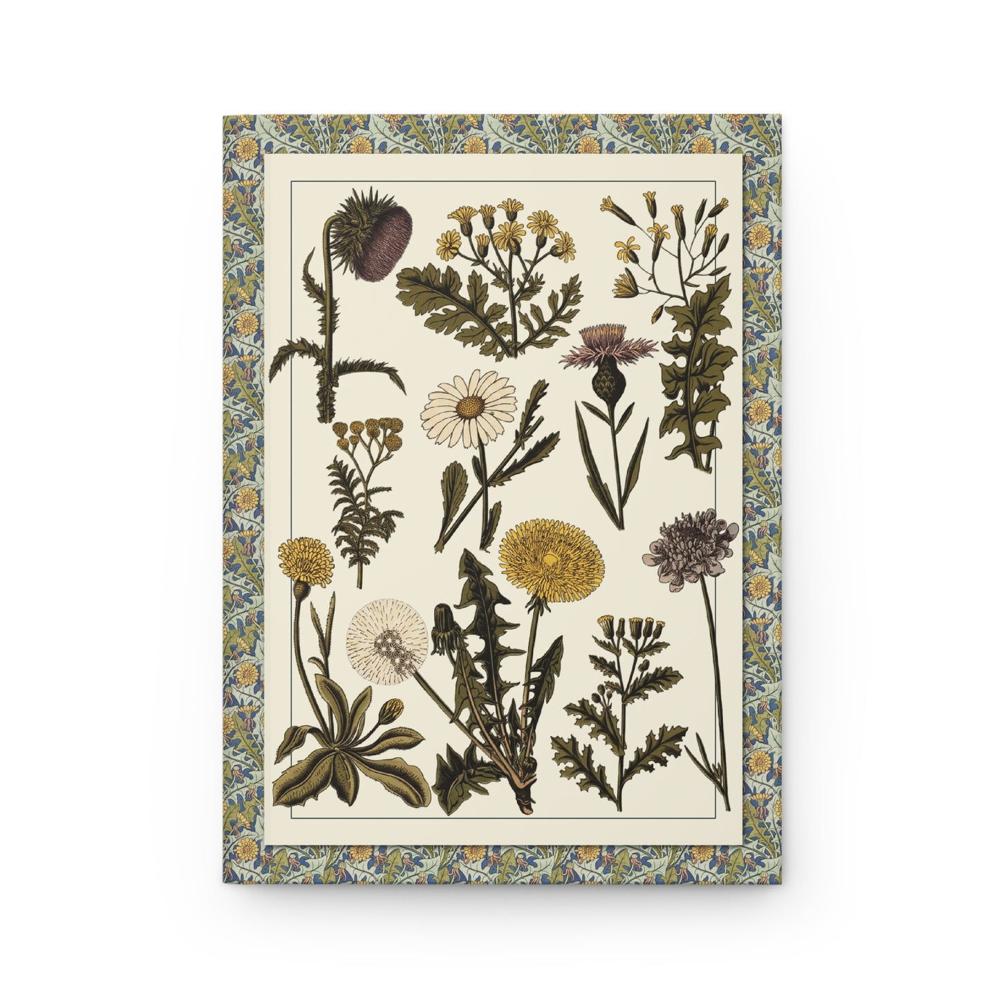 Front cover featuring Polish botanical Table XVI Zioła 1870s–1912 with 10 wild medicinal herbs including dandelion, yarrow, tansy and oxeye daisy - LeBonJournal