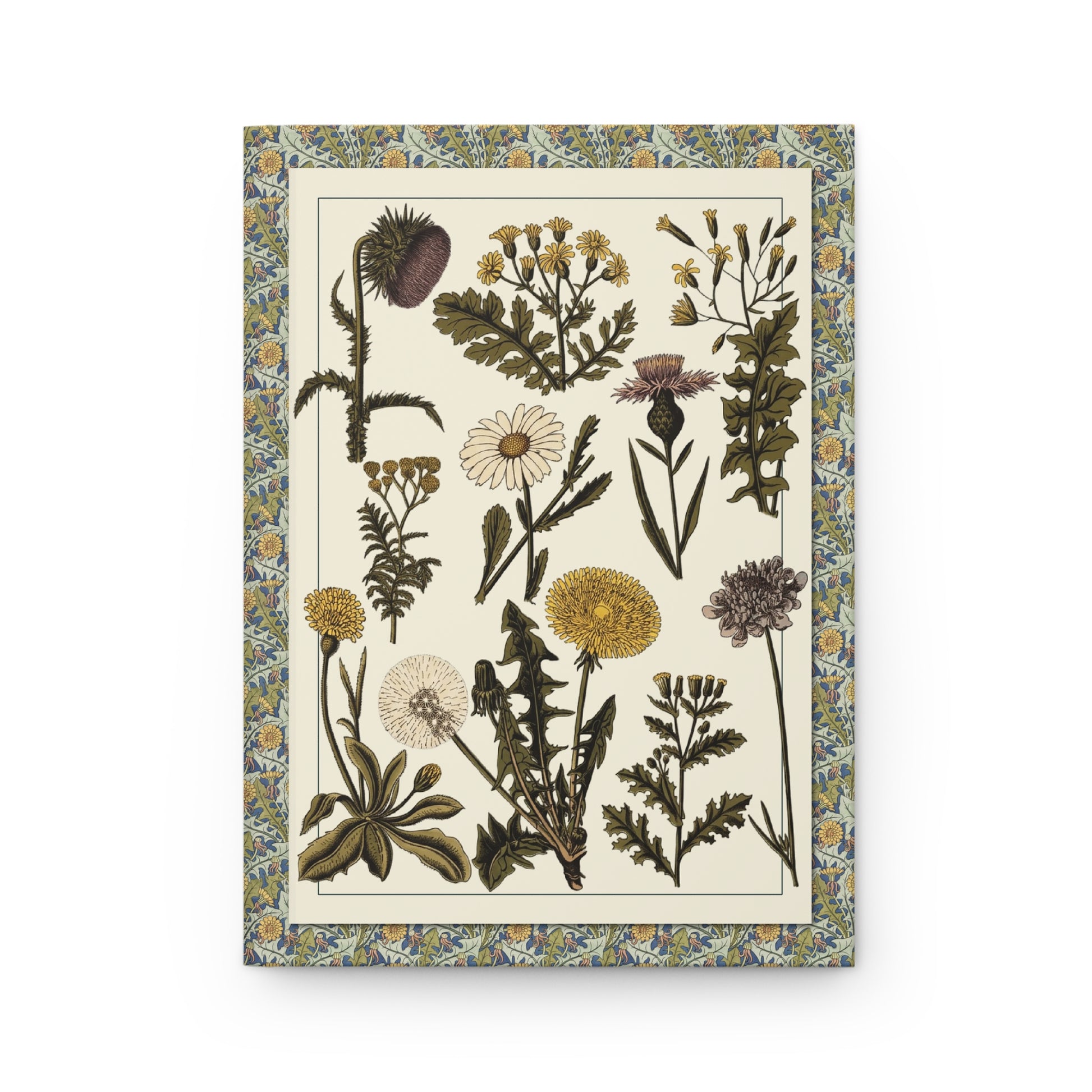 Front cover featuring Polish botanical Table XVI Zioła 1870s–1912 with 10 wild medicinal herbs including dandelion, yarrow, tansy and oxeye daisy - LeBonJournal