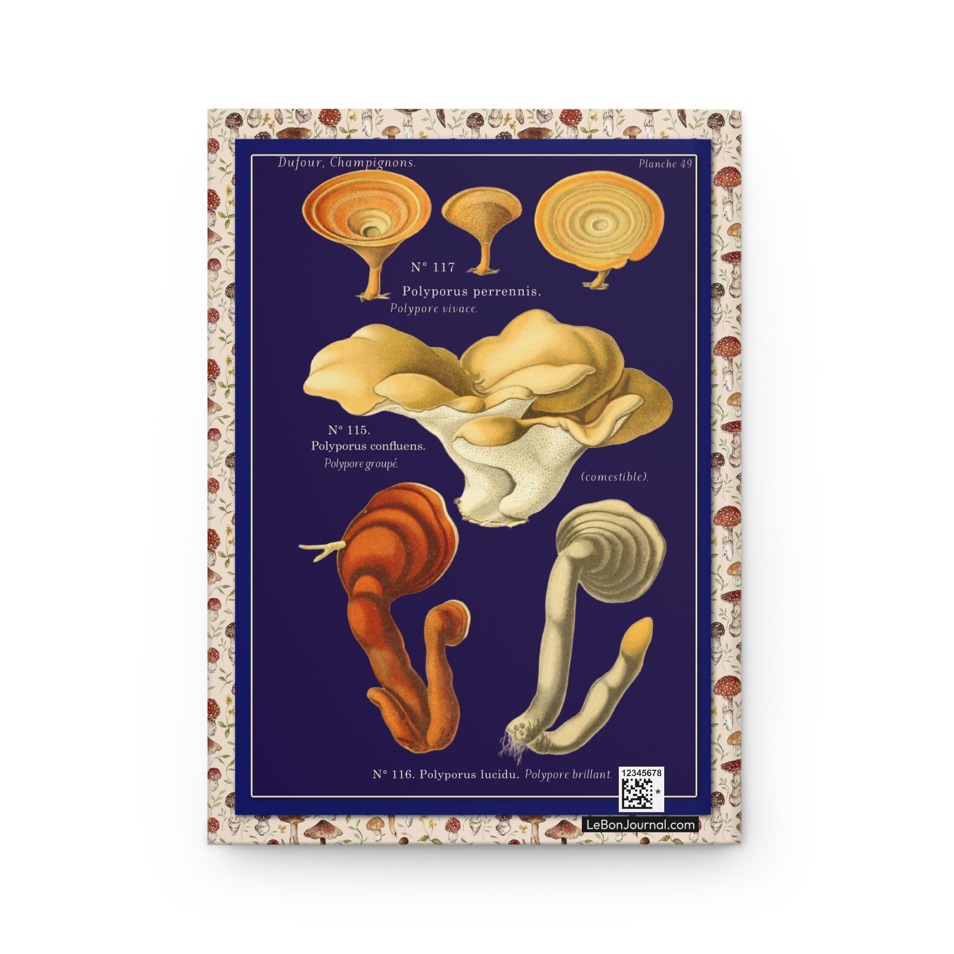 Polypore mushrooms back cover Ganoderma Reishi Albatrellus Tiger's Eye navy background - LeBonJournal
