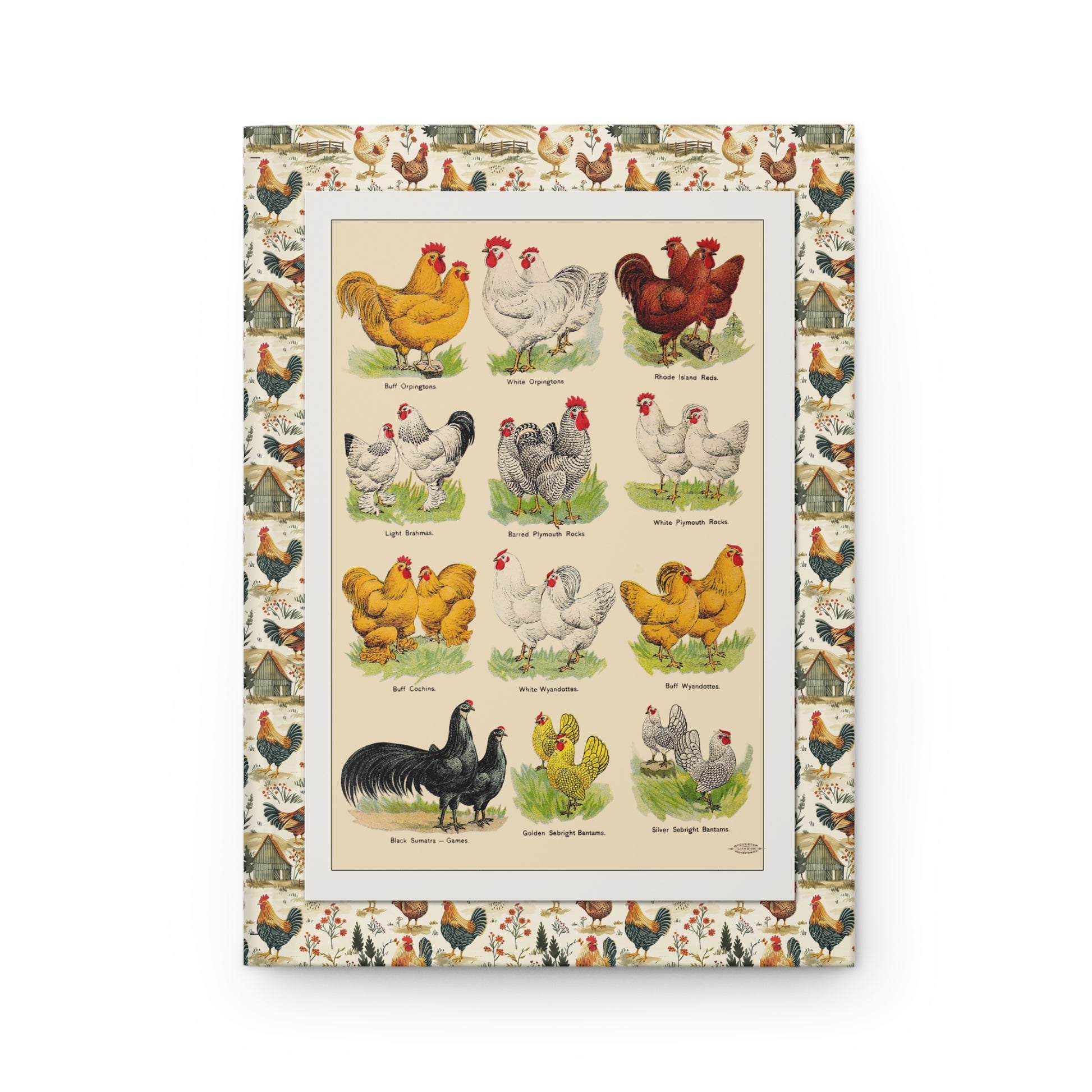 Front cover of Poultry Breeds journal featuring F.B. Mills 1904 Rose Hill NY vintage chicken breed illustrations with Buff Orpingtons, Barred Plymouth Rocks, Light Brahmas, Sebright Bantams on premium matte hardcover - LeBonJournal