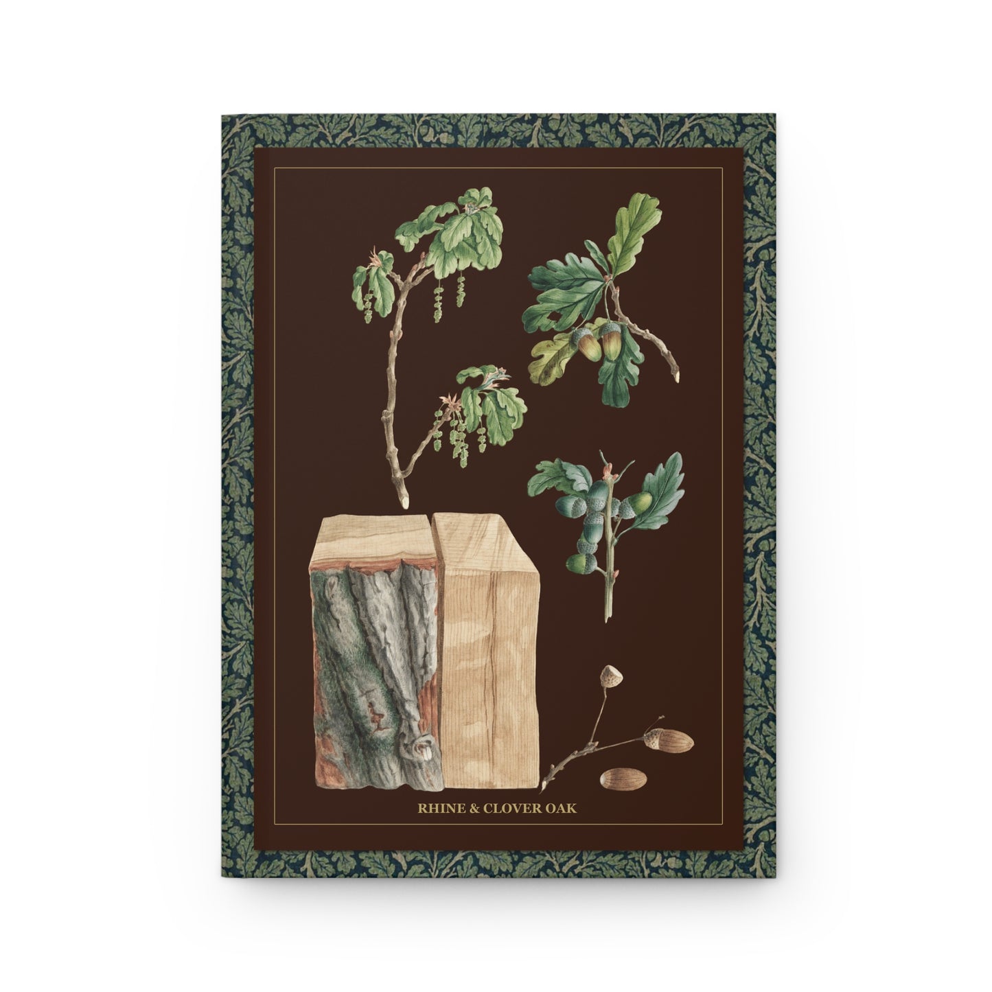 Quercus robur front cover with blossoms, acorns and bark by Ludwig Pfleger 1788, Enlightenment botanical study of English oak - LeBonJournal