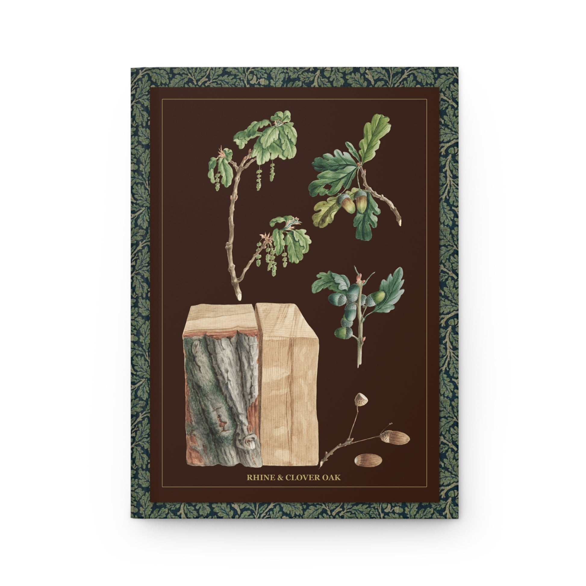 Quercus robur front cover with blossoms, acorns and bark by Ludwig Pfleger 1788, Enlightenment botanical study of English oak - LeBonJournal