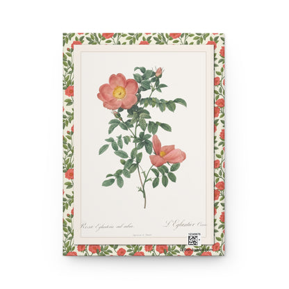 Redouté Les Roses 1817 back cover Rosa Eglanteria Sub Rubra Red Sweet Brier pink petals foliage - LeBonJournal
