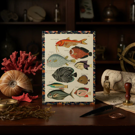 Louis Renard 1719 Poissons sea life journal in Dutch Golden Age cabinet of curiosities with shells, coral and VOC maritime ephemera - LeBonJournal