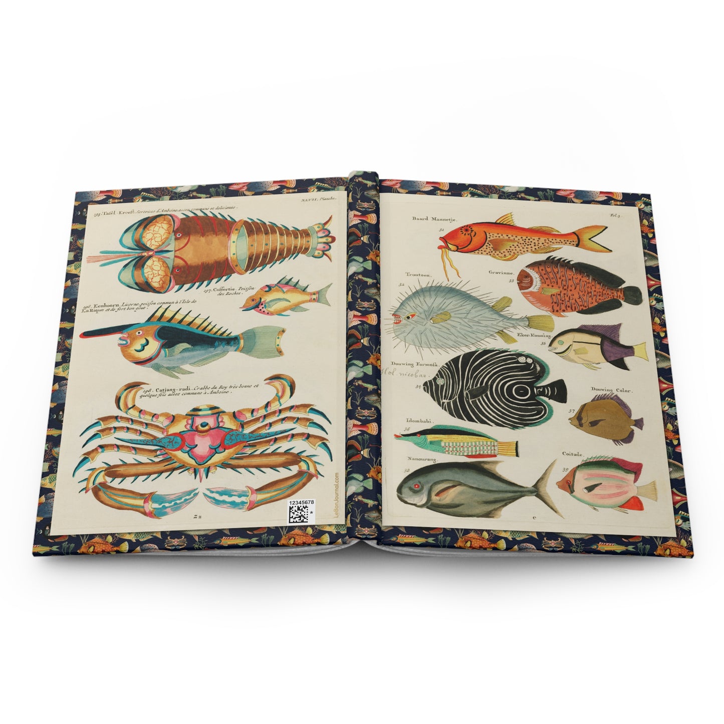 Renard 1719 sea life journal open showing 150 perforated lined pages with casewrap sewn binding, Poissons Écrevisses et Crabes Fallours - LeBonJournal