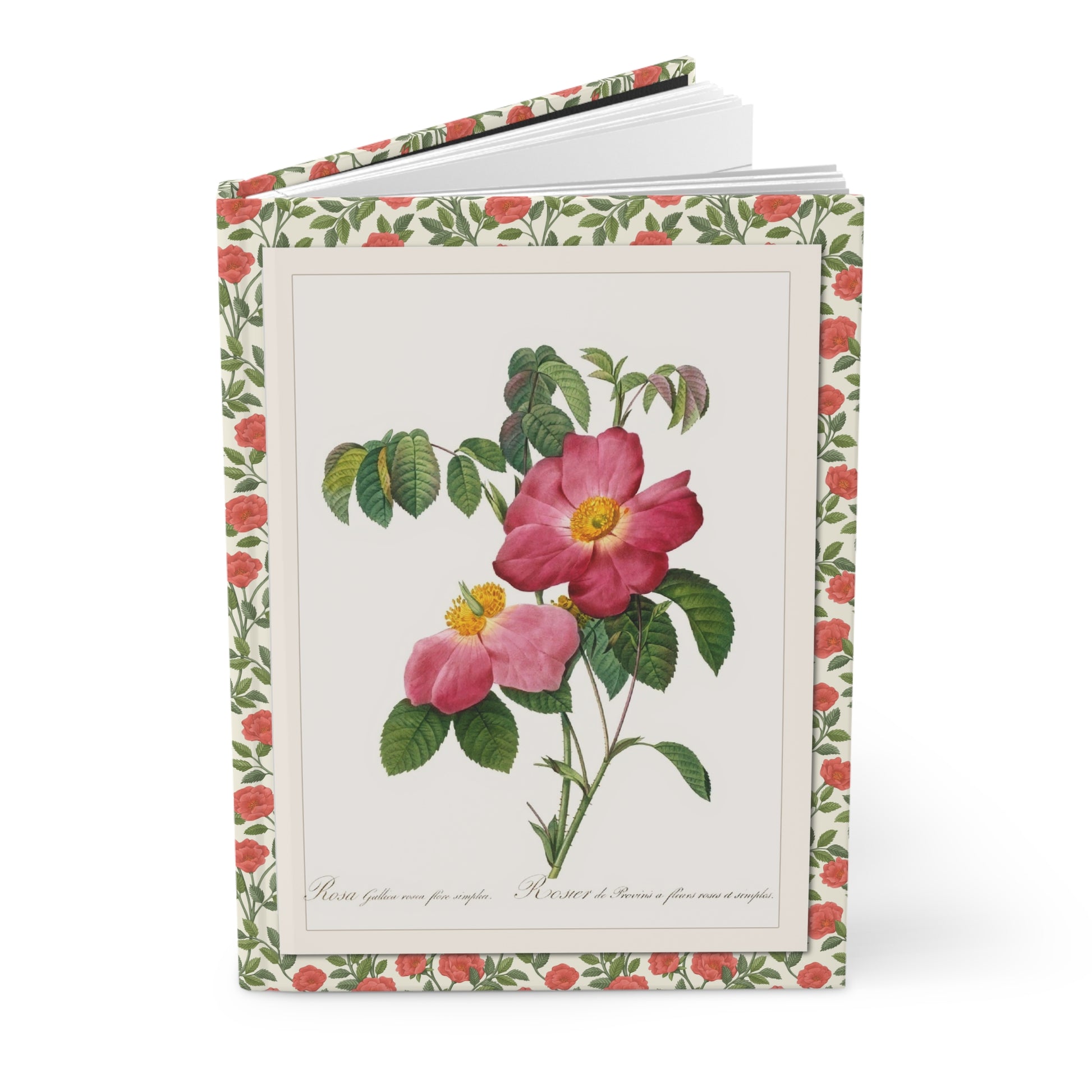 Rose journal Redouté Les Roses 1817 Rosa Gallica front Rosa Eglanteria back stipple engraving Empress Joséphine - LeBonJournal
