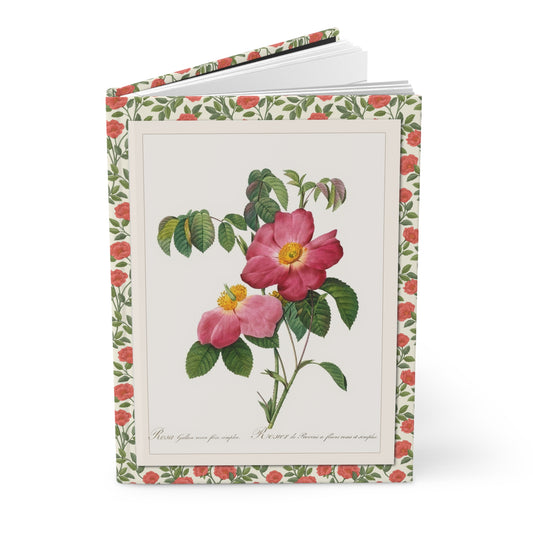 Rose journal Redouté Les Roses 1817 Rosa Gallica front Rosa Eglanteria back stipple engraving Empress Joséphine - LeBonJournal
