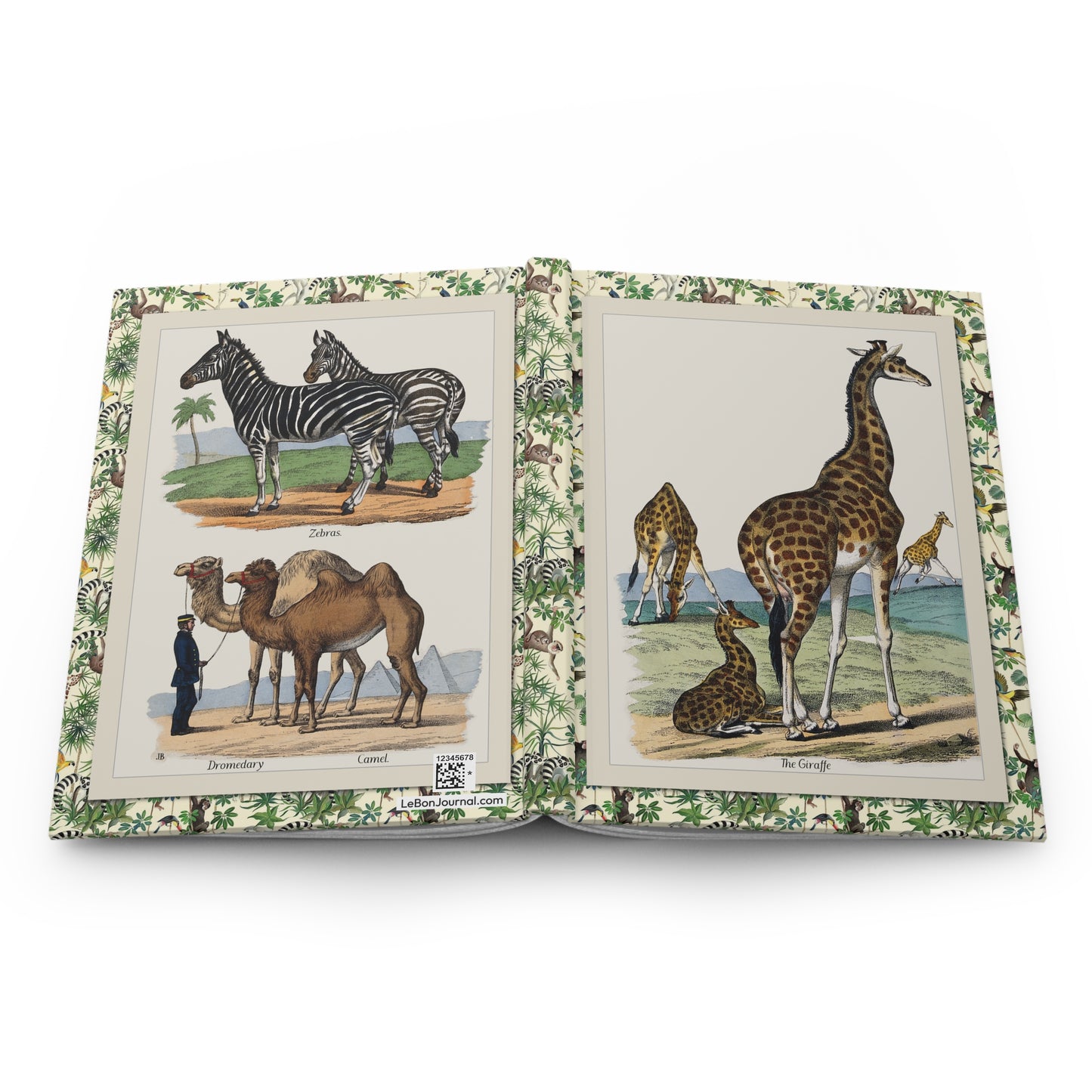 Safari hardcover journal spine and full-wrap Jemima Blackburn 1859 wildlife lithographs - LeBonJournal
