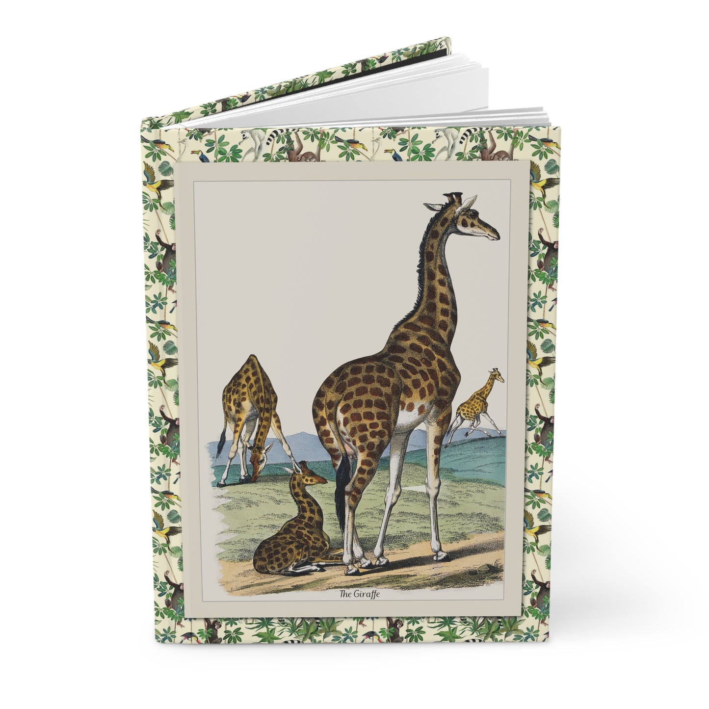 Safari journal Jemima Blackburn 1859 giraffe zebra camel Victorian wildlife lithograph natural history - LeBonJournal
