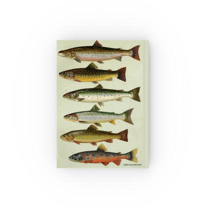 Freshwater fish journal back cover salmonids brown trout Atlantic salmon char Our Country's Fishes 1902 lithograph - LeBonJournal