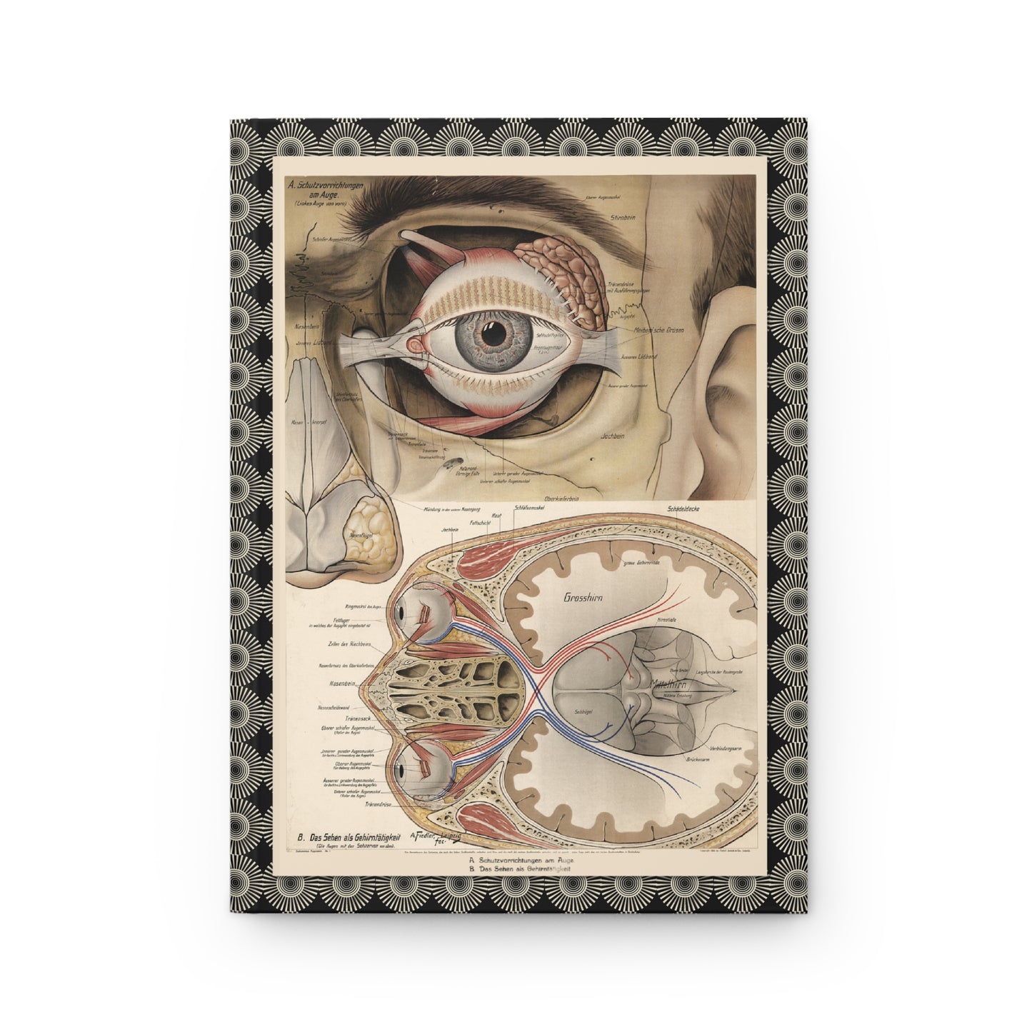 Schutzvorrichtungen am Auge front cover from A. Fiedler 1916-1940 Leipzig showing eye protection mechanisms lacrimal apparatus optic nerve - LeBonJournal
