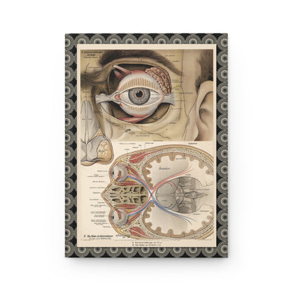 Schutzvorrichtungen am Auge front cover from A. Fiedler 1916-1940 Leipzig showing eye protection mechanisms lacrimal apparatus optic nerve - LeBonJournal
