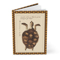 Sea and land tortoises journal with Kenelm Henry Digby 1810-1819 watercolor illustrations from The Naturalists Companion manuscript - LeBonJournal
