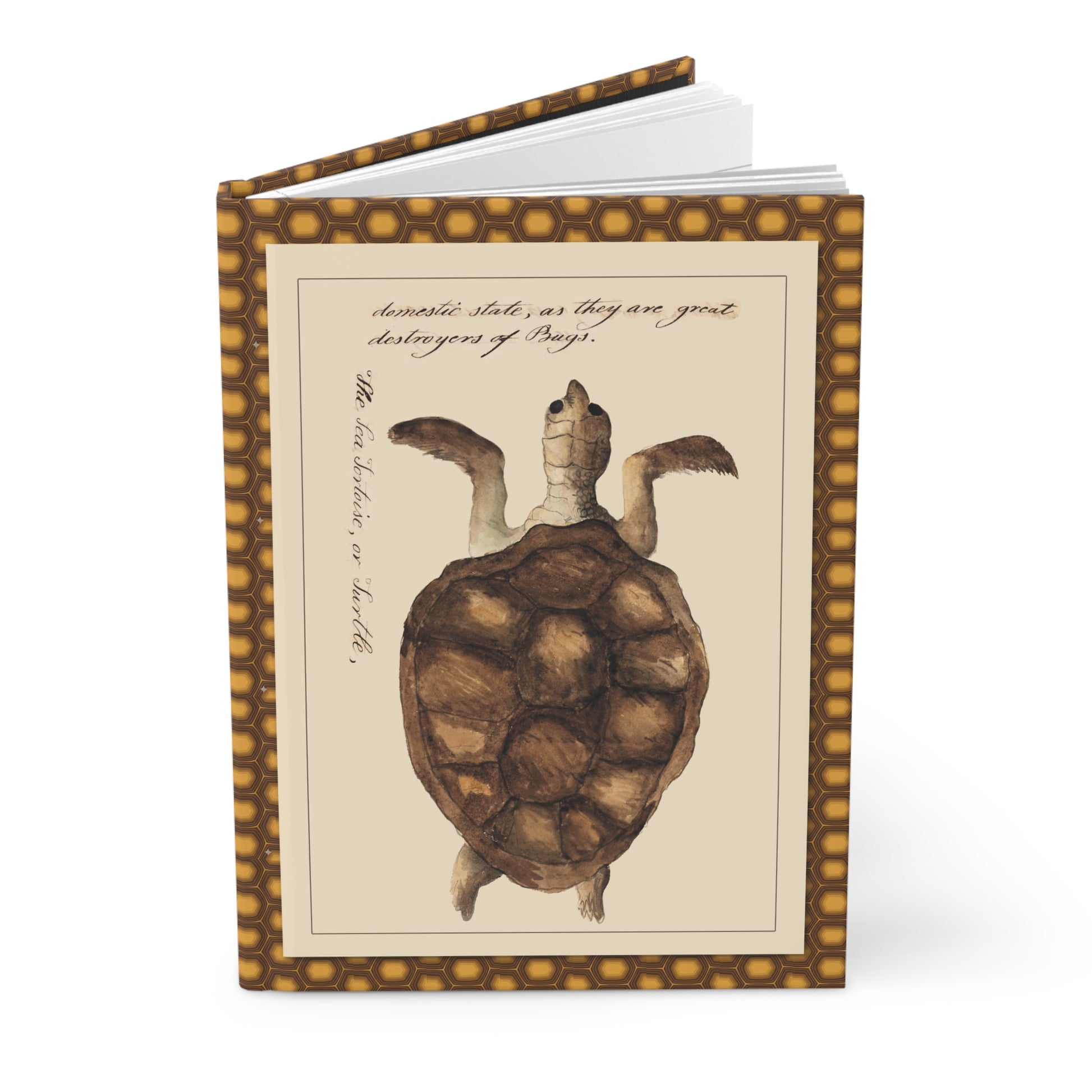 Sea and land tortoises journal with Kenelm Henry Digby 1810-1819 watercolor illustrations from The Naturalists Companion manuscript - LeBonJournal