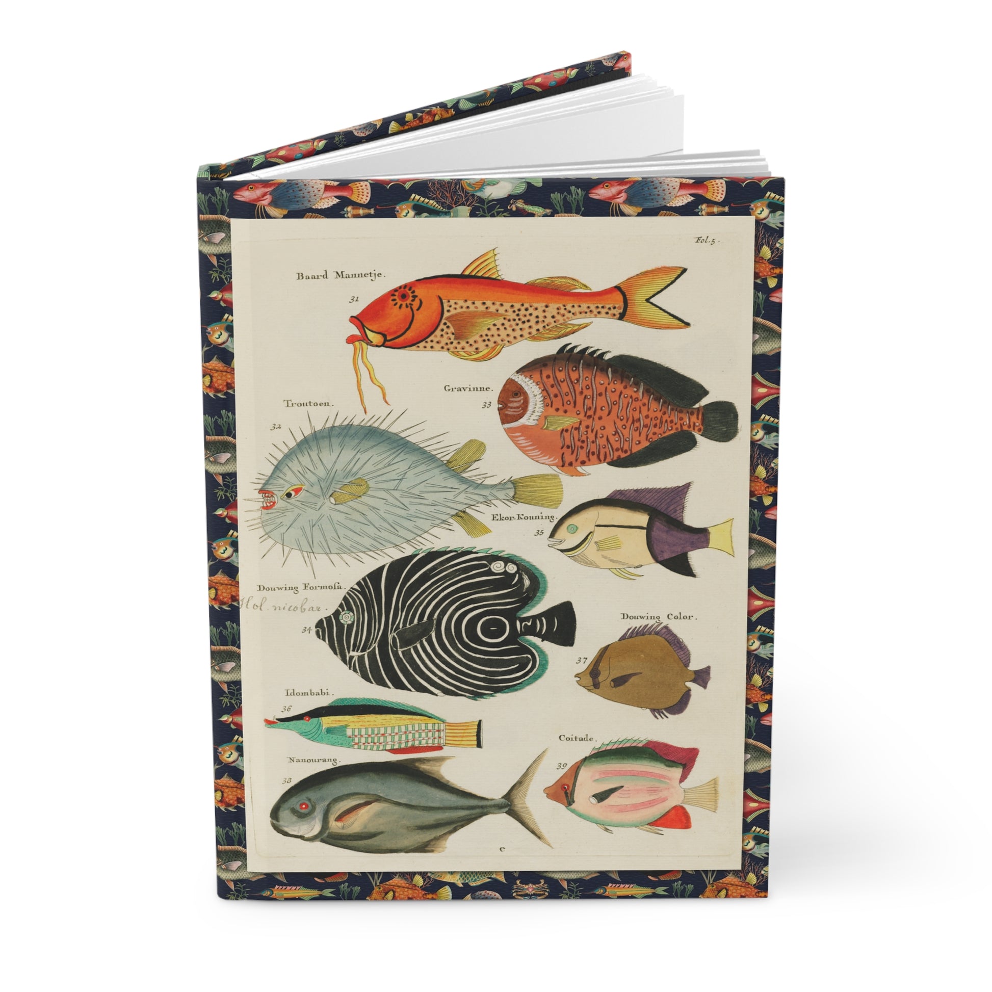 Renard 1719 sea life hardcover journal standing vertically slightly open showing lined pages, Fallours Moluccas hand-coloured engraving cover - LeBonJournal