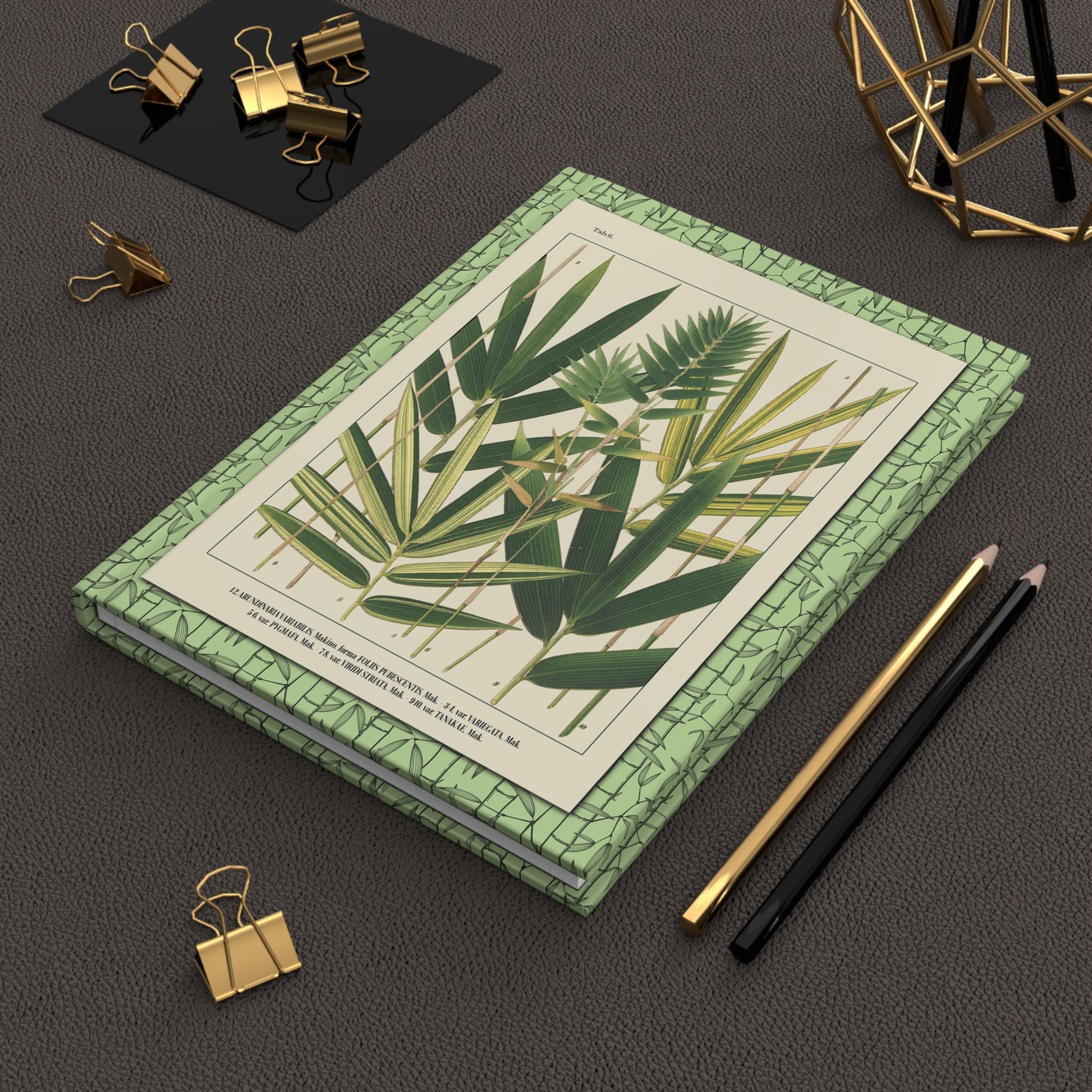 Shirasawa Makino 1912 Japanese bamboo journal on workspace celebrating Nihon Chikurui Zufu Meiji botanical legacy - LeBonJournal