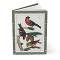Naumann 1841 songbird hardcover journal standing vertically slightly open showing lined pages, European finch hand-coloured engraving cover - LeBonJournal
