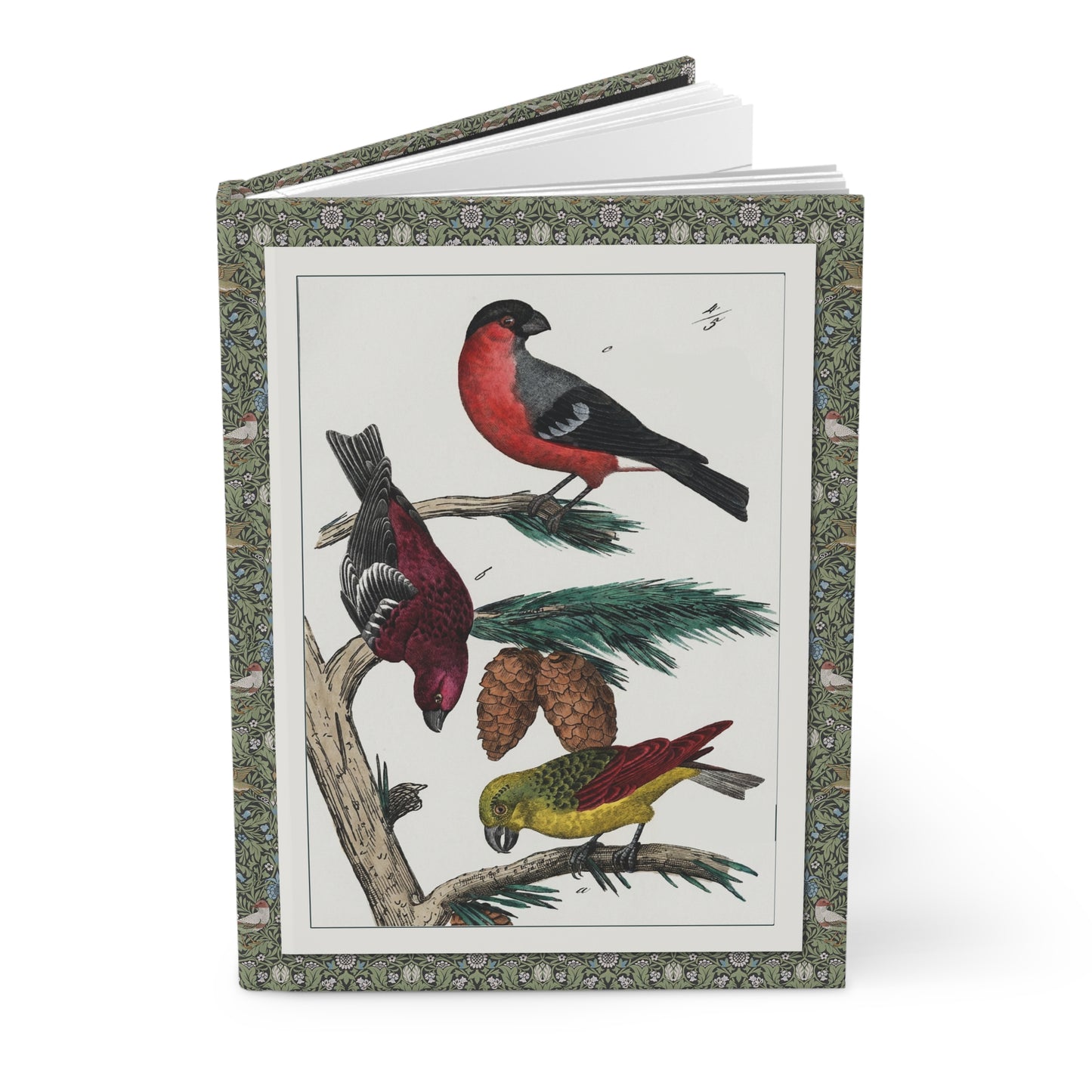 Naumann 1841 songbird hardcover journal standing vertically slightly open showing lined pages, European finch hand-coloured engraving cover - LeBonJournal