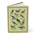 Songbird journal Kurt Lampert 1905 European songbirds chromolithograph ornithology English names - LeBonJournal
