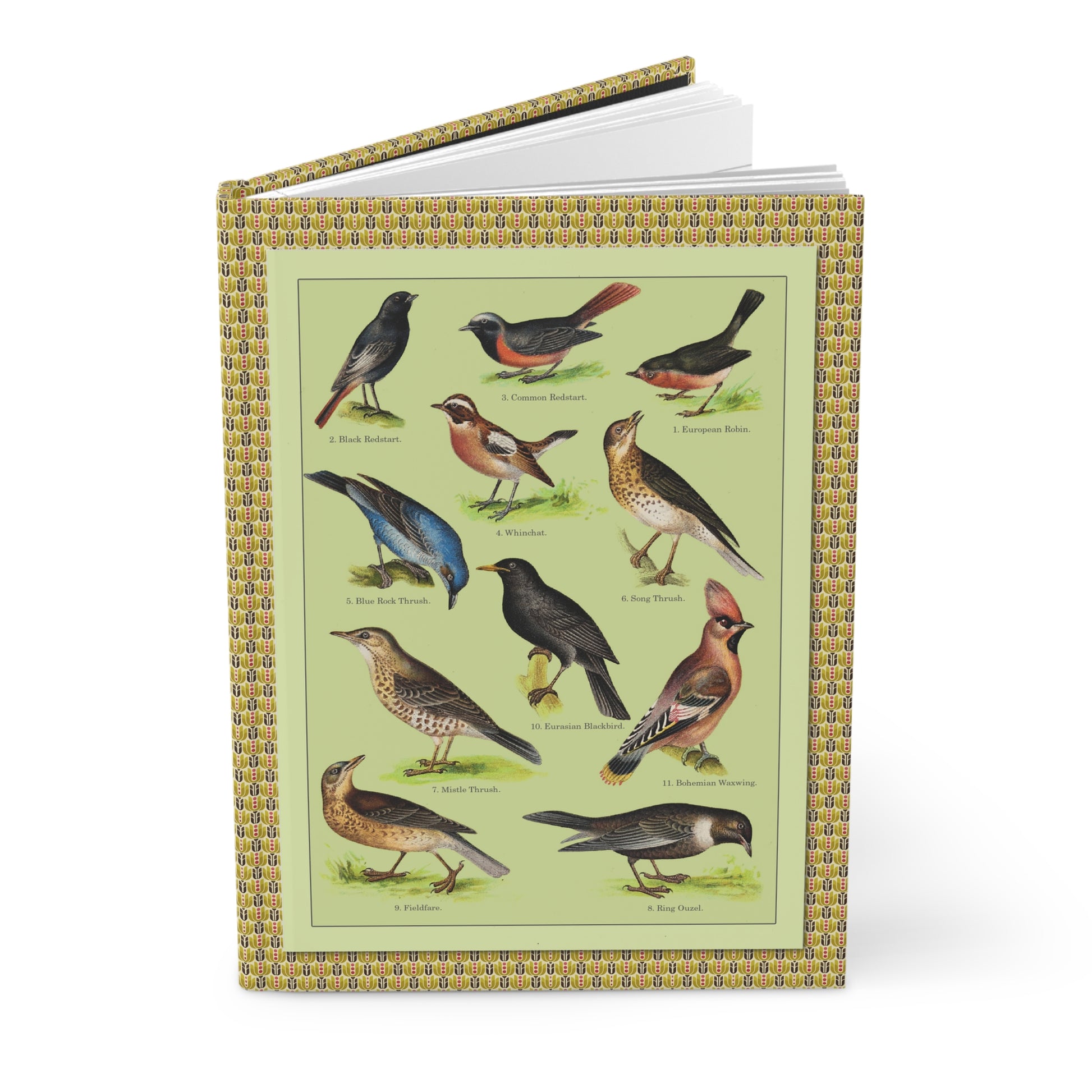 Songbird journal Kurt Lampert 1905 European songbirds chromolithograph ornithology English names - LeBonJournal
