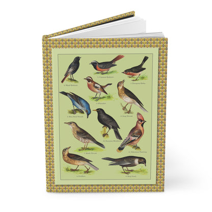 Songbird journal Kurt Lampert 1905 European songbirds chromolithograph ornithology English names - LeBonJournal
