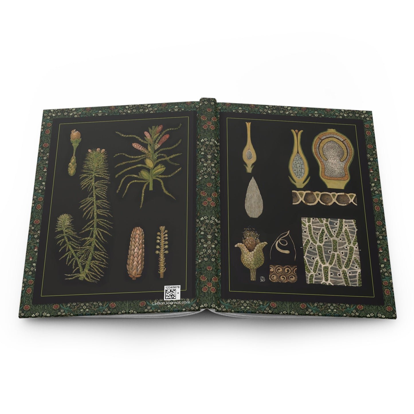 Sphagnum moss hardcover journal spine and full-wrap Gottlieb von Koch 1909 Jung-Koch-Quentell botanical wall chart - LeBonJournal