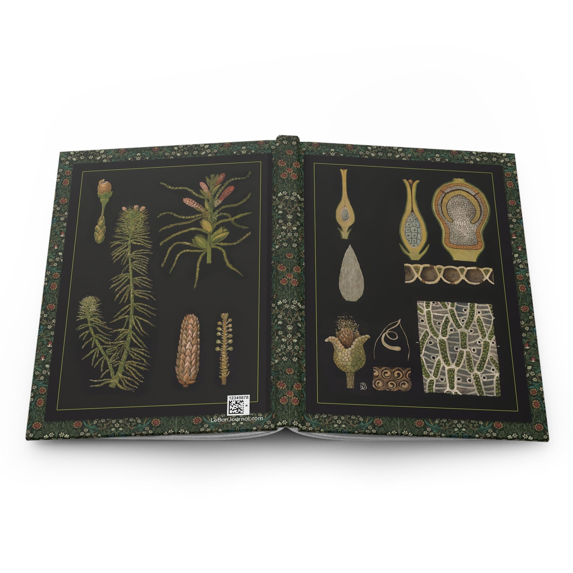 Sphagnum moss hardcover journal spine and full-wrap Gottlieb von Koch 1909 Jung-Koch-Quentell botanical wall chart - LeBonJournal