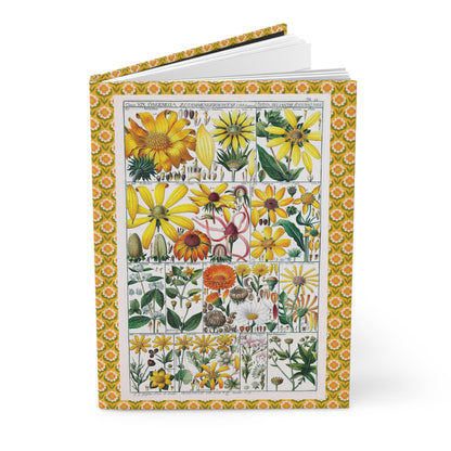 Syngenesia journal with C.G. Geisler 1795 Linnaean classification chart Helianthus sunflowers and composite flowers - LeBonJournal