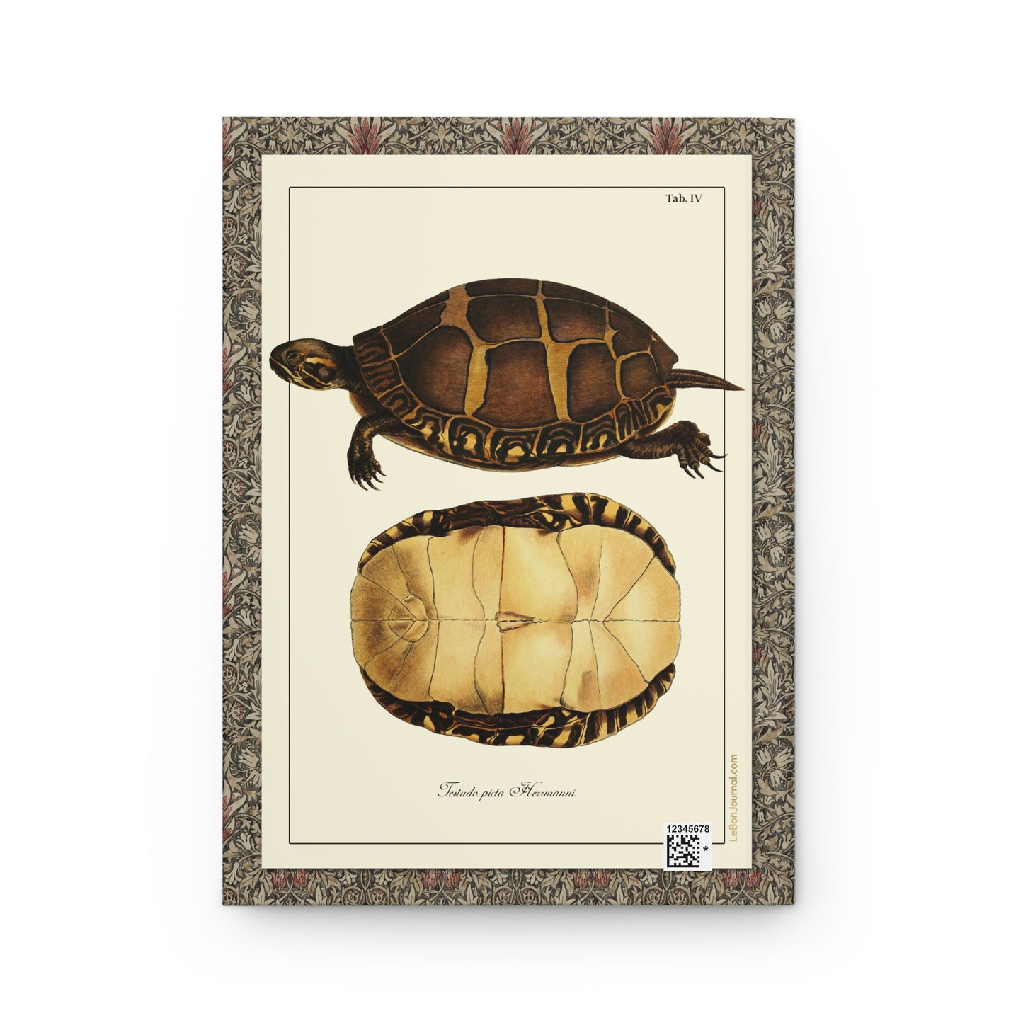 Testudo picta Hermanni painted turtle back cover, Chrysemys picta hand-coloured engraving by Schöpf 1792, Naturgeschichte der Schildkröten - LeBonJournal