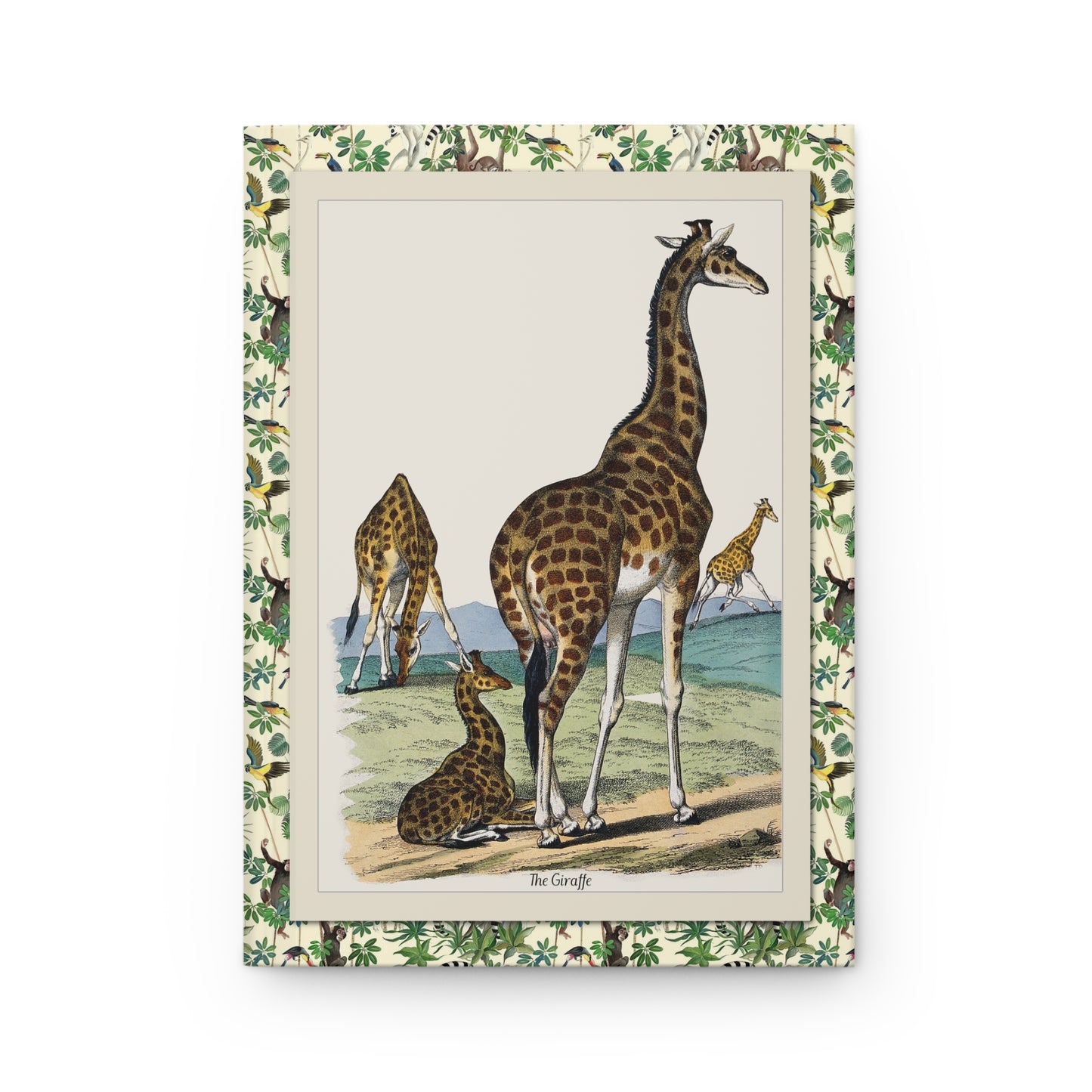 The Giraffe Plate IX Jemima Blackburn front cover 1859 truth to nature wildlife - LeBonJournal
