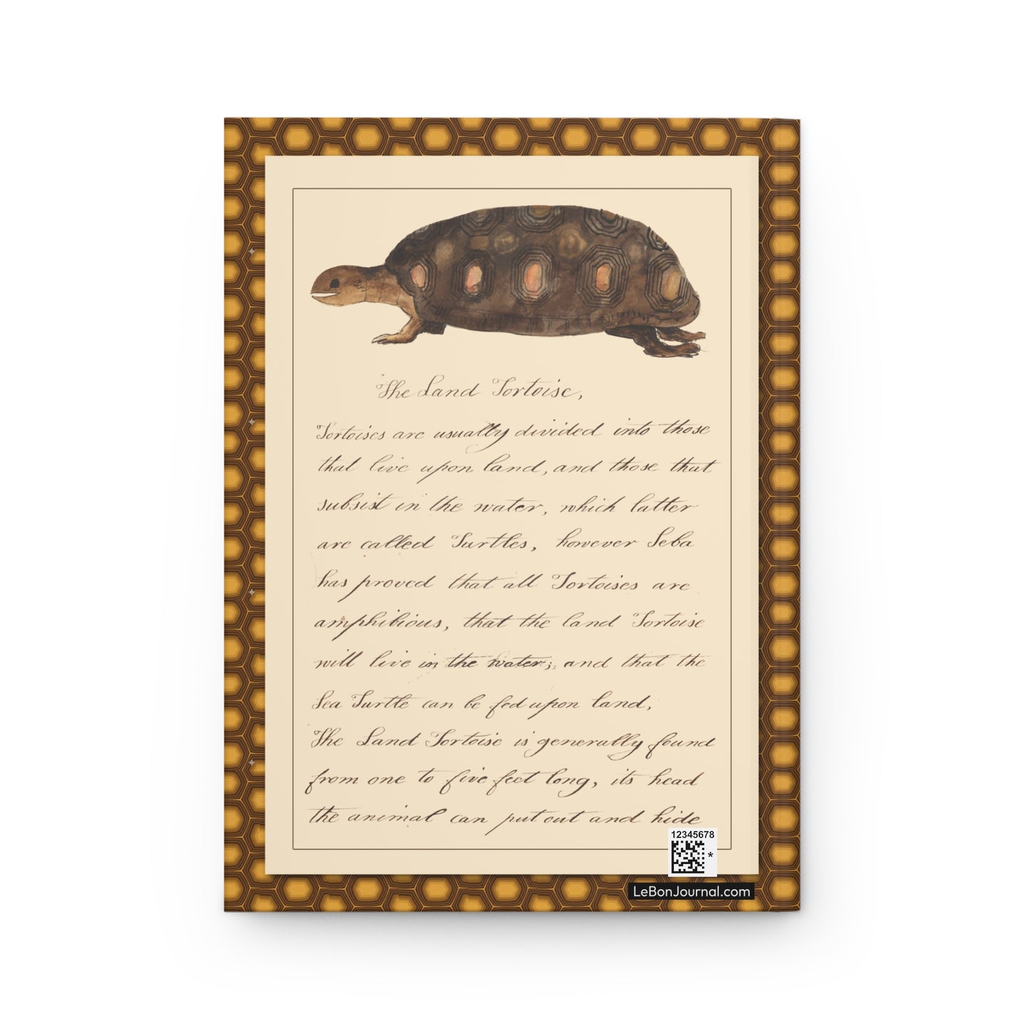 The Land Tortoise page 230 back cover from Kenelm Henry Digby 1810-1819 showing Testudo tabulata watercolor cursive text - LeBonJournal