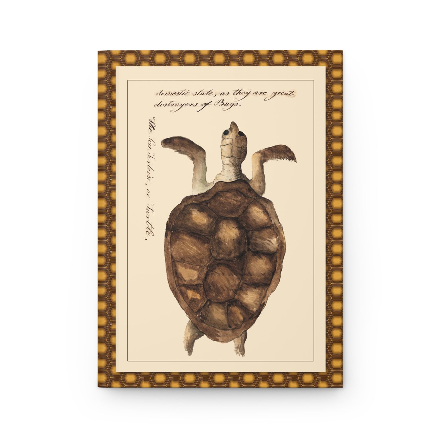 The Sea Tortoise page 233 front cover from Kenelm Henry Digby 1810-1819 The Naturalists Companion watercolor manuscript - LeBonJournal
